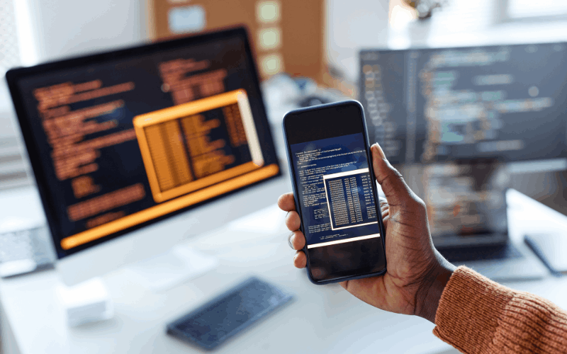 Web App Development Service