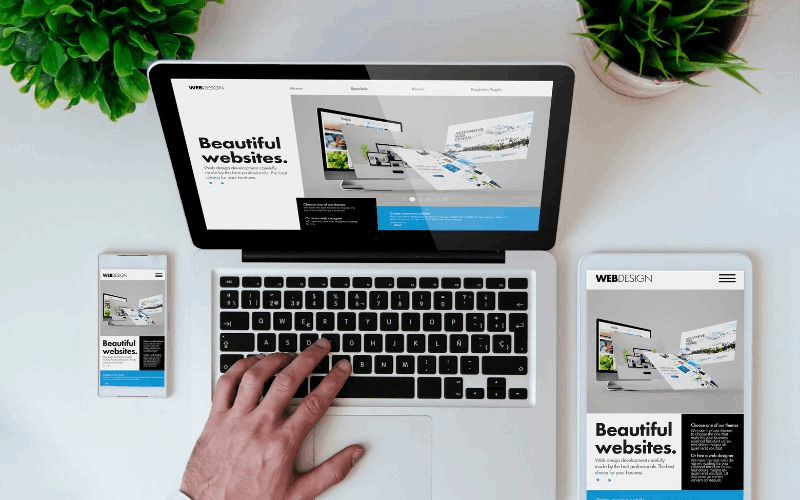 Website Design & Development service